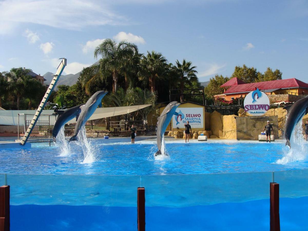 Benalmadena Costa Sol Holiday Rentals Exteriör bild
